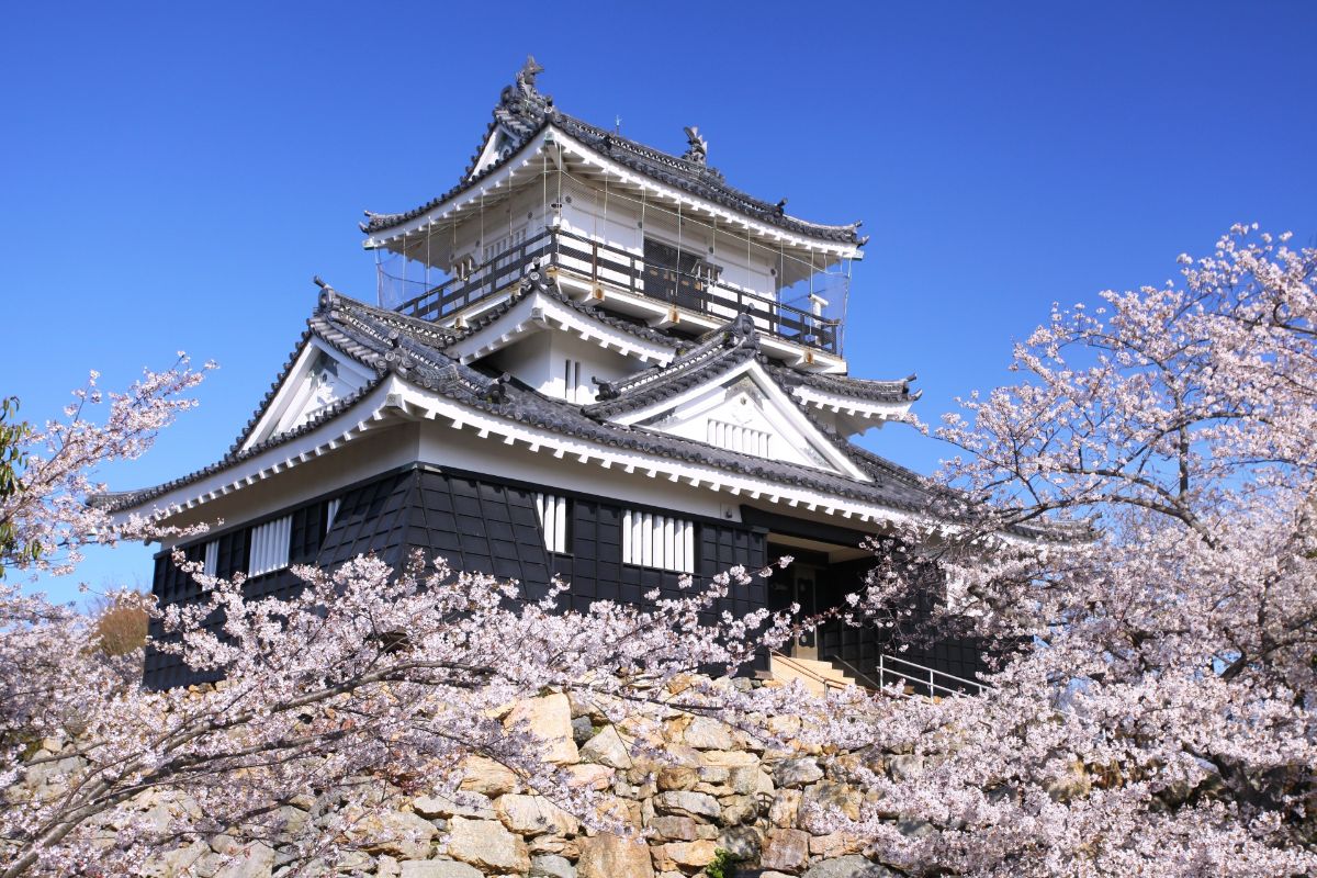 浜松城の桜